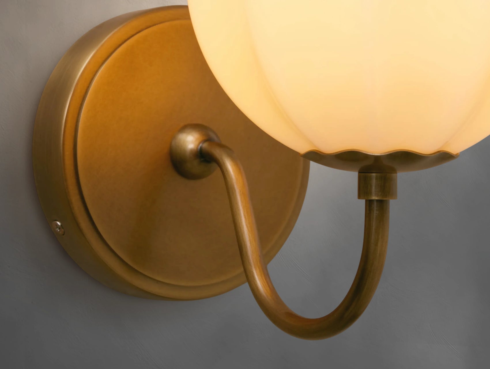 Aurora Globe Sconce